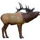Rinehart 1/3 Scale Elk Target