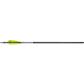 TenPoint Evo-X Center Punch Crossbow Bolts 20 in. Alpha Nocks 6 pk.