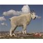 DuraMesh Archery Target Mountain Goat 25 in. x 32 in.