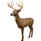 Rinehart Big Jim Target