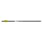 TenPoint Alpha Nock Arrows Aluminium 20 in. 6 pk.