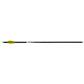Wicked Ridge Lighted Alpha Brite Arrows Aluminum 20 in. 3 pk.