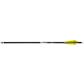 TenPoint Pro Elite 400 Arrows 20 in. White Alpha Nocks 3 pk.