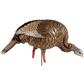 Avian X HDR Feeding Hen Decoy