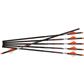 Ravin HD 500 gr. Arrows .001 6 pk.