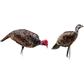Montana Decoy Purr-Fect Pair XD Decoy Combo