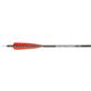 Fleetwood Natural Grain Carbon Arrows 400 Feathers 6 pk.