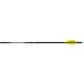 Easton X10 Parallel Pro Arrows 340 AAE Hybrid 26 vanes 6 pk.