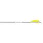 Gold Tip Warrior Arrows 600 4 in. Feathers 72 pk.