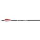 Victory HLR Sport Arrows 350 6 pk.