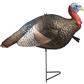 The Grind 1/2 Strut Jake Turkey Decoy
