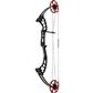 Cajun Shore Runner EV Black/Red