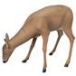 Flambeau Grazing Doe Decoy
