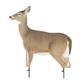 Montana Decoy Whitetail Dreamy Doe Decoy