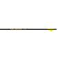 Gold Tip Hunter Pro Arrows 300 Raptor Vanes 6 pk.