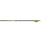 Gold Tip Hunter XT Arrows 300 Raptor Vanes 6 pk.