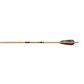 Gold Tip Traditional Arrows 500 4 in. Feathers 6 pk.