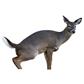 Montana Decoy Estrus Betty Doe Decoy