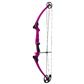 Genesis Bow Purple RH