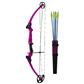 Genesis Bow Set Purple RH